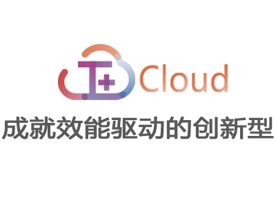 <strong>T+ Cloud——成就效能驱动的创新型</strong>